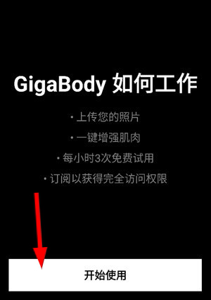 GigaBody下载