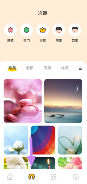 主题壁纸鸭