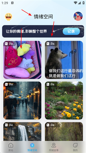 左琴右书
