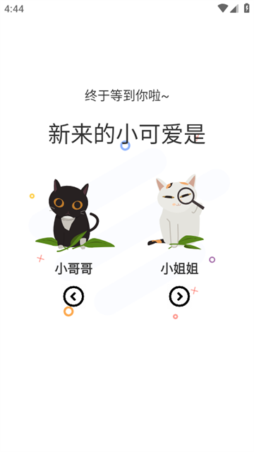 喵妃漫画