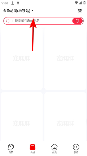 宠胖胖app下载