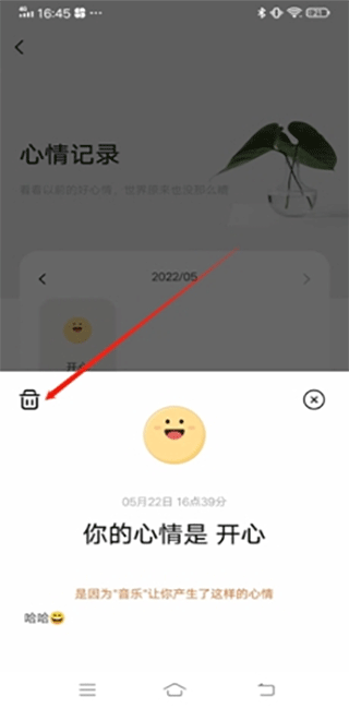 岁岁