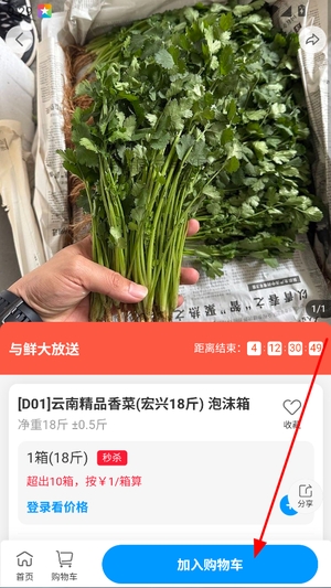 与鲜同行