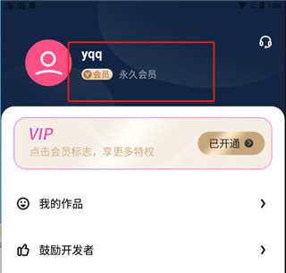 视频音频提取器