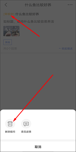鲲天下养鱼