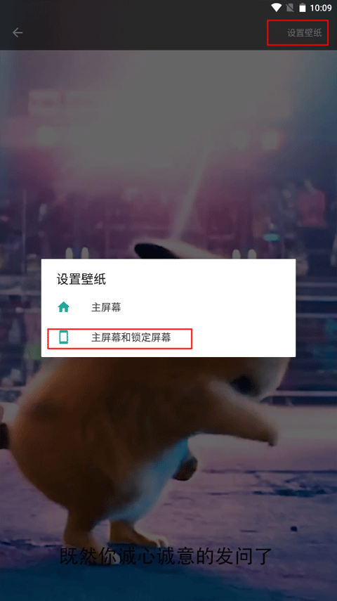 皮皮壁纸桌面下载正版