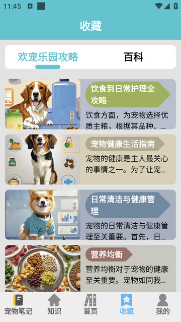 欢宠乐园