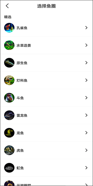 鲲天下养鱼