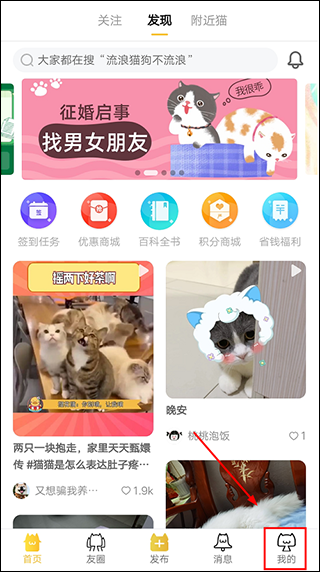 友猫