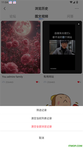 马兰花开