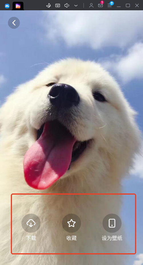 风铃壁纸