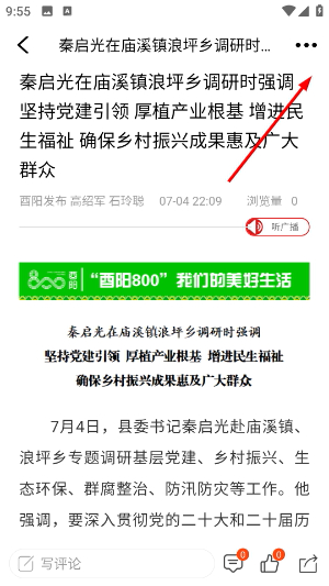 酉州城事