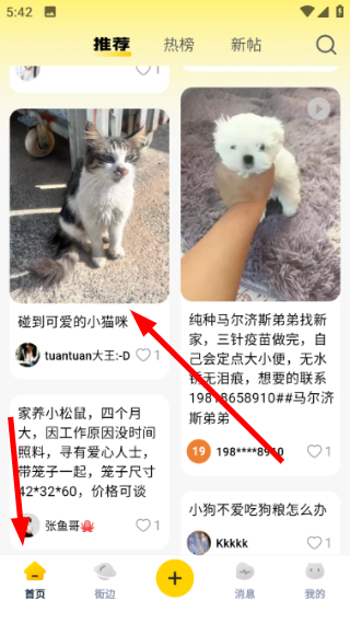宠物街