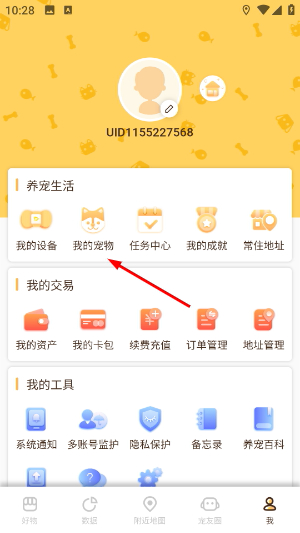 陪彼宠物