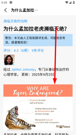 宠物街