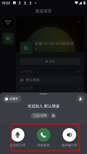 黑盒语音