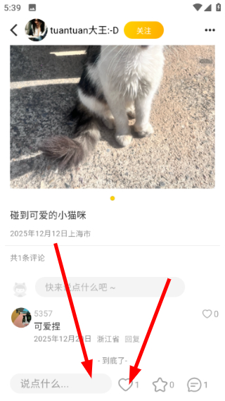 宠物街