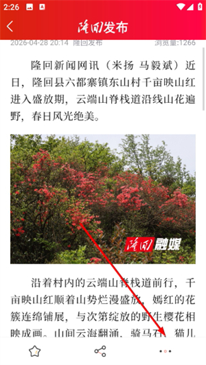 隆回发布