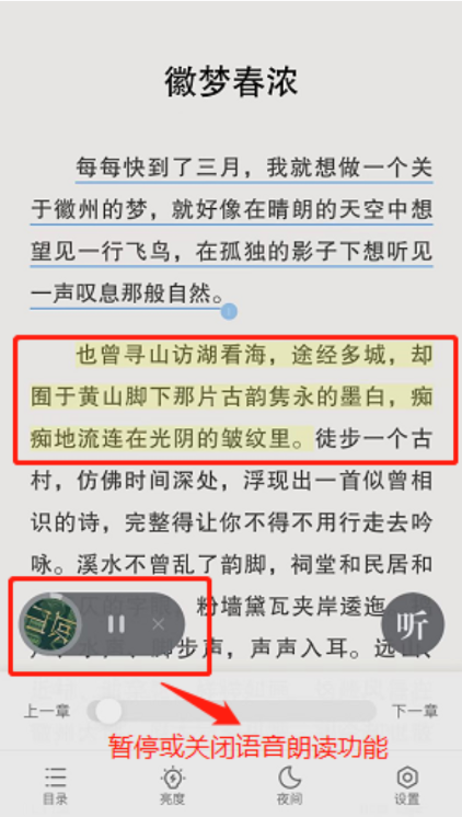 油梨小说
