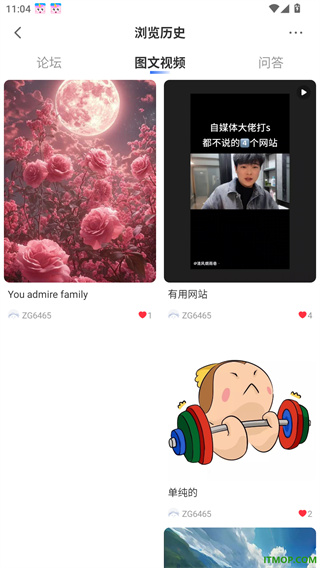 马兰花开