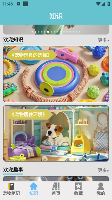 欢宠乐园