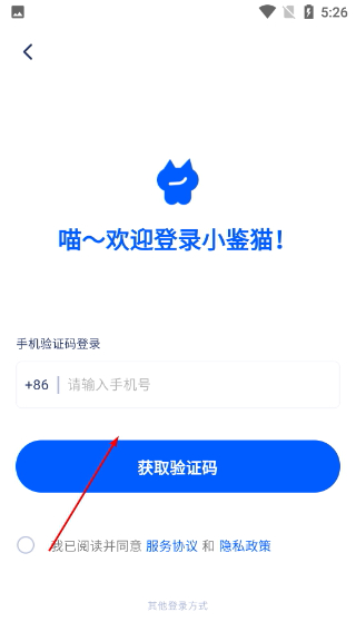 小鉴猫