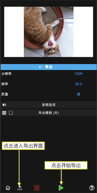 光流补帧app下载