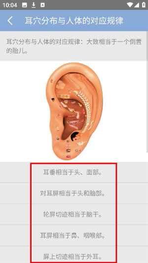 妙郎中耳穴检测