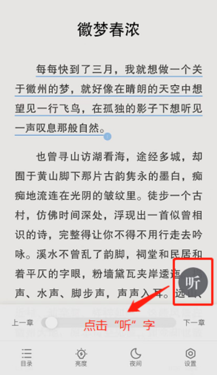 油梨小说