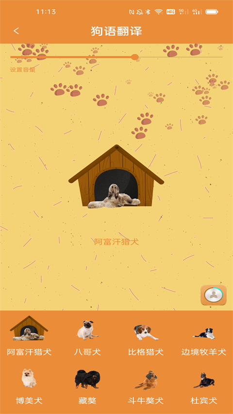 宠物猫狗翻译器