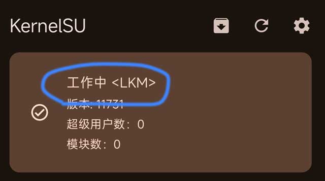 KernelSU
