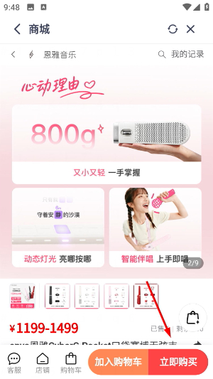 恩雅音乐