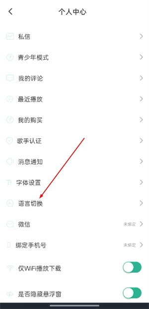 咚咚藏音