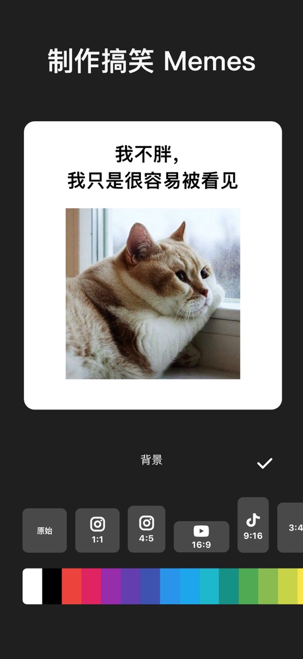 12094812vxmq.jpg