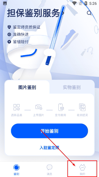 小鉴猫