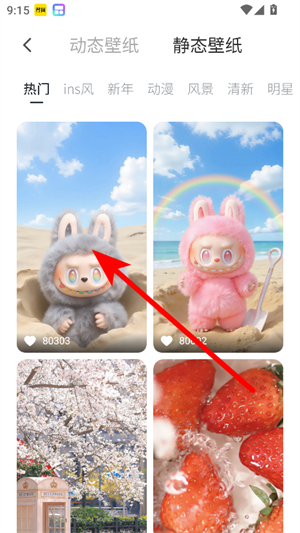colorful widget软件免费版