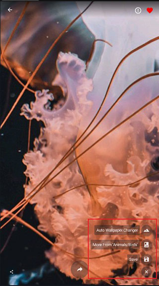 4kwallpapers壁纸