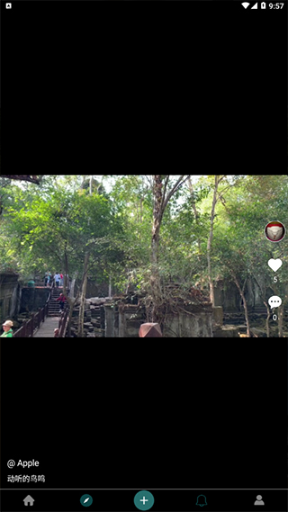 去看看旅行官方版下载