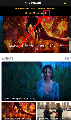 NOVIPNOAD追剧官网版