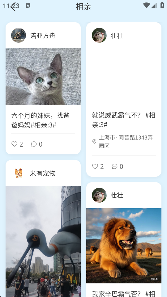 PetMeet