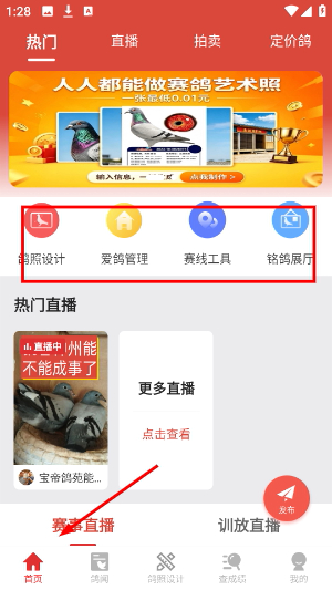 搜鸽天下