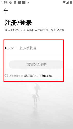雀乐音乐app