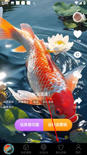 锦鲤金鱼壁纸