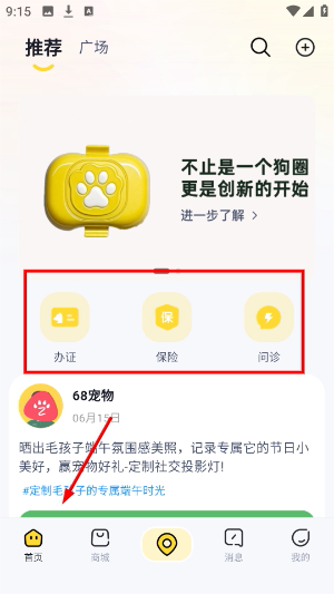 68宠物