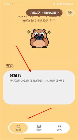 卡皮巴拉单词相机