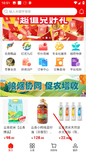 云香印象