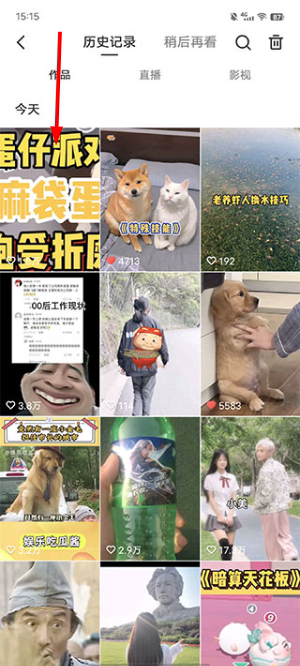 快手看片app