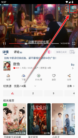 free影视app官方版 下载