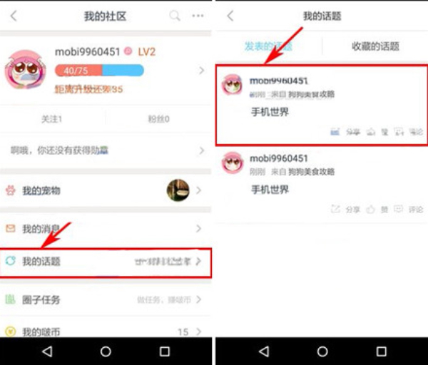 波奇宠物app下载安装最新版