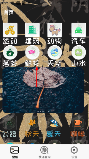 壁纸蛙